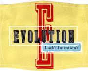 Sokol Blosser - Evolution White NV